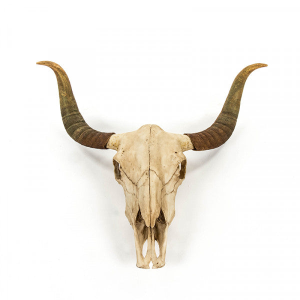 Carved Large Bull Skull for sale, Large Carved Bull Skull Decor for Walls