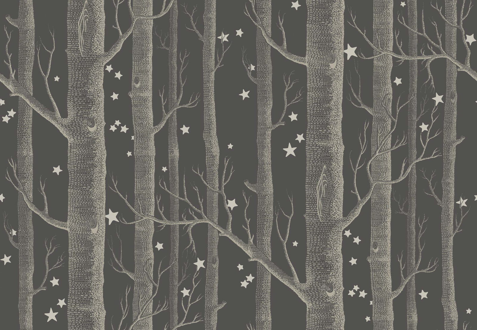 Cole & Son Woods and Stars Charcoal Wallpaper for sale, Birch Tree wallpaper for sale Cole and Son