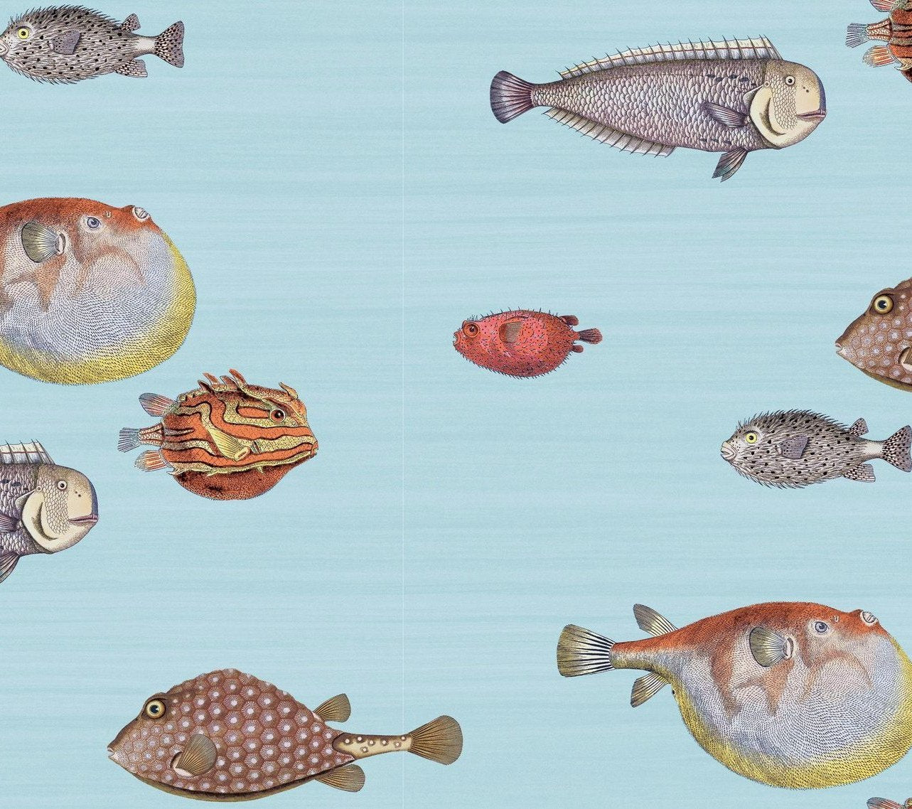 cole and son acquario blue wallpaper for sale, cole and son fish wallpaper for sale blue