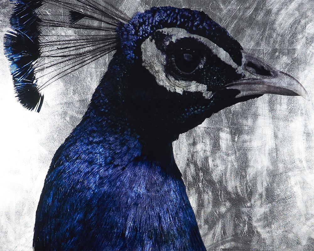 LARGE LUXURY FRAMED ANIMAL PRINTS FOR SALE, LARGE METALIC FRAMED PEACOCK PRINT FOR SALE