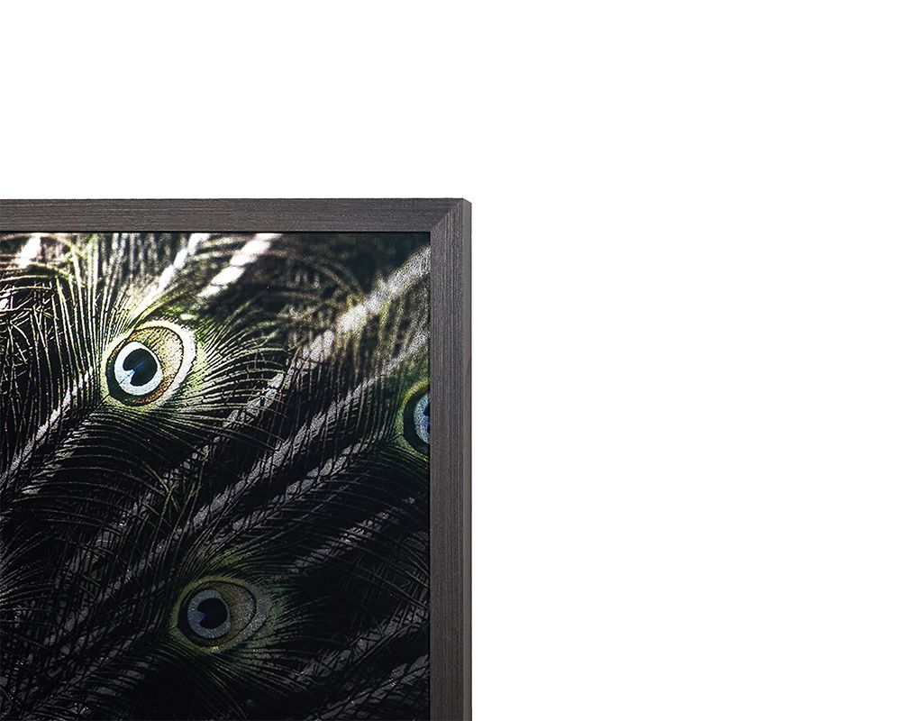 Plumage Framed Portrait - 72" X 48"