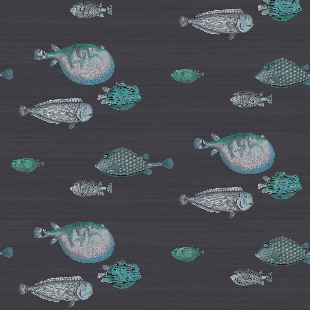 cole and son acquario wallpaper ink, cole and son black and blue fish wallpaper