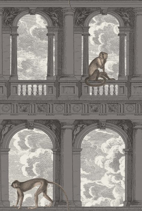 Two monkeys wallpaper cole and son, Procuratie Con Soot & Snow Cole and Son