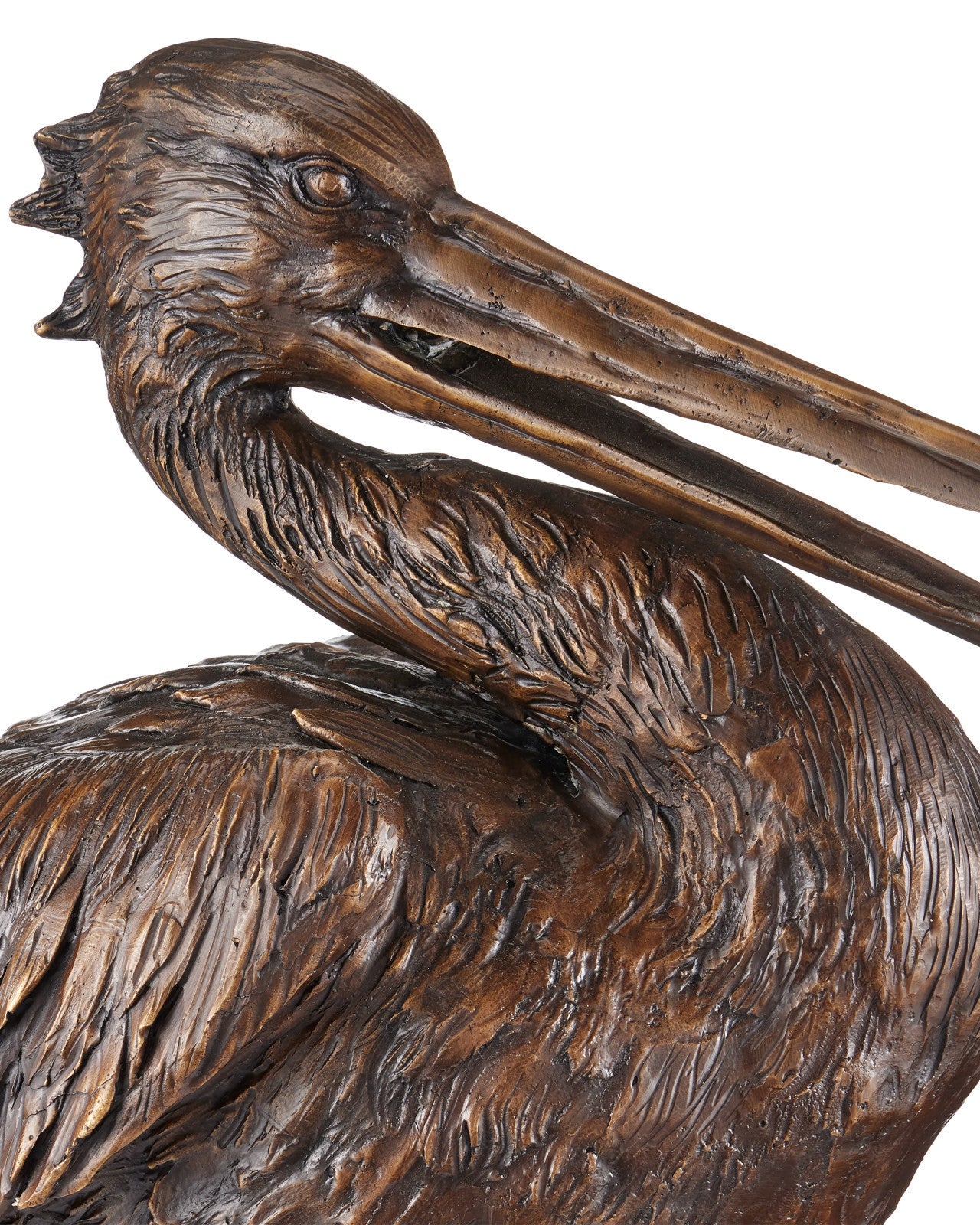 Pelican Bronze