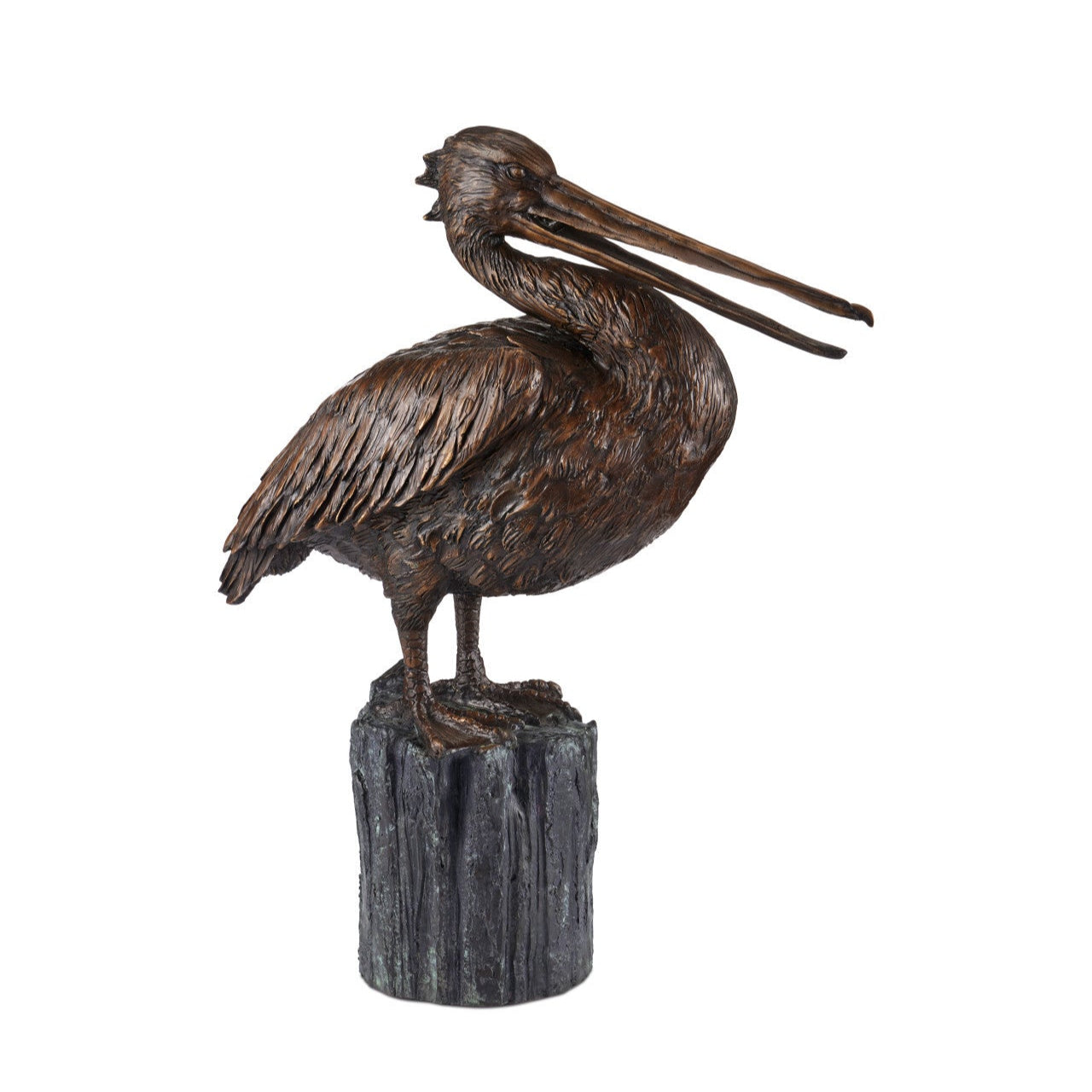 Pelican Bronze