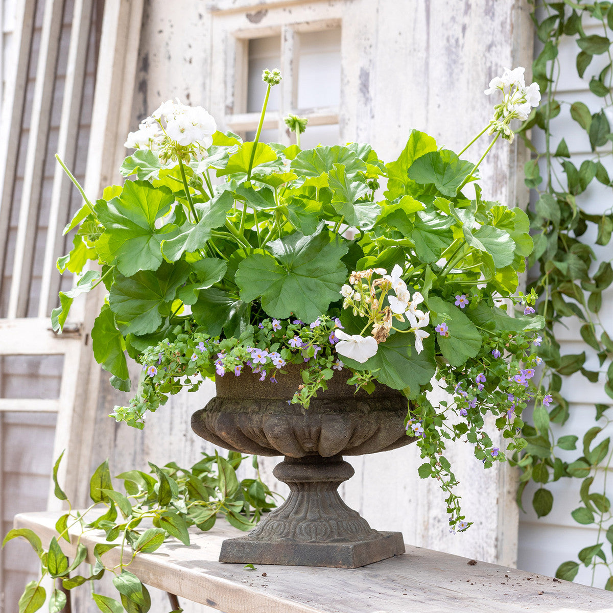 large urn planter indoor Cast Iron Villa Urn