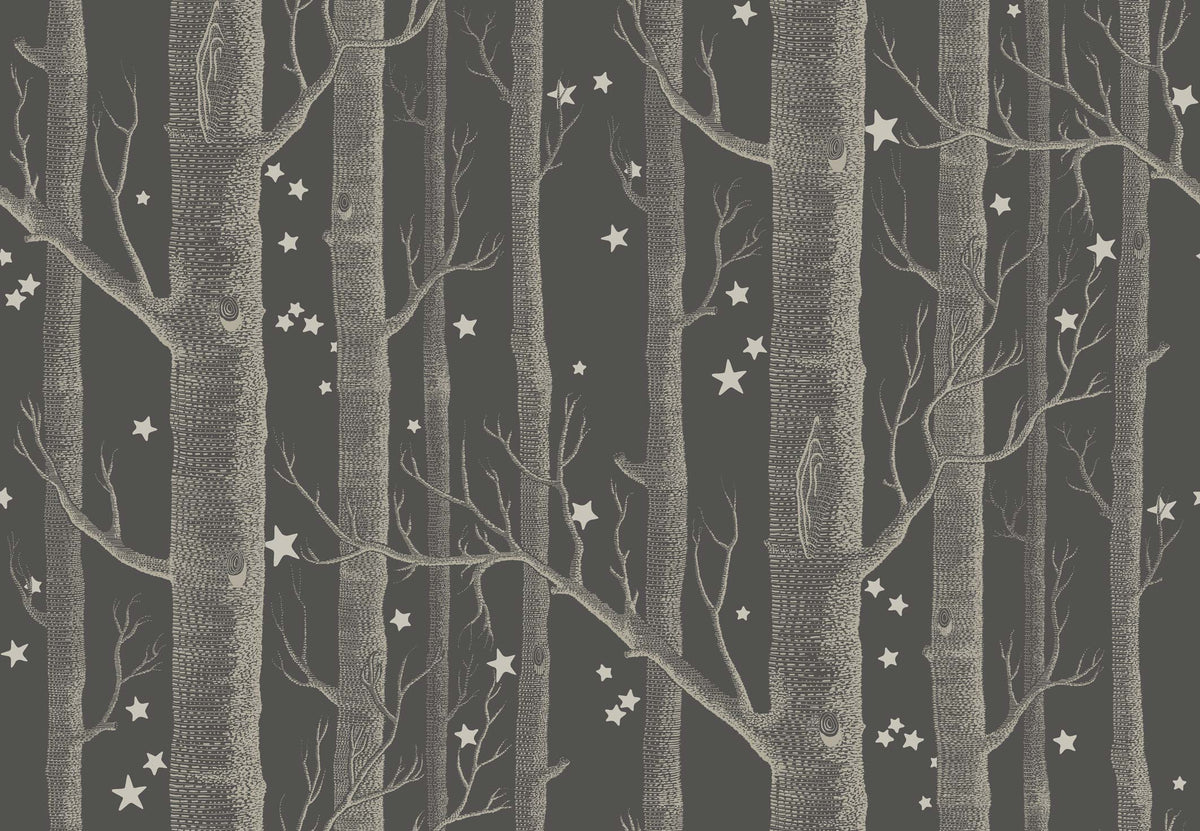 Cole &amp; Son Woods and Stars Charcoal Wallpaper for sale, Birch Tree wallpaper for sale Cole and Son