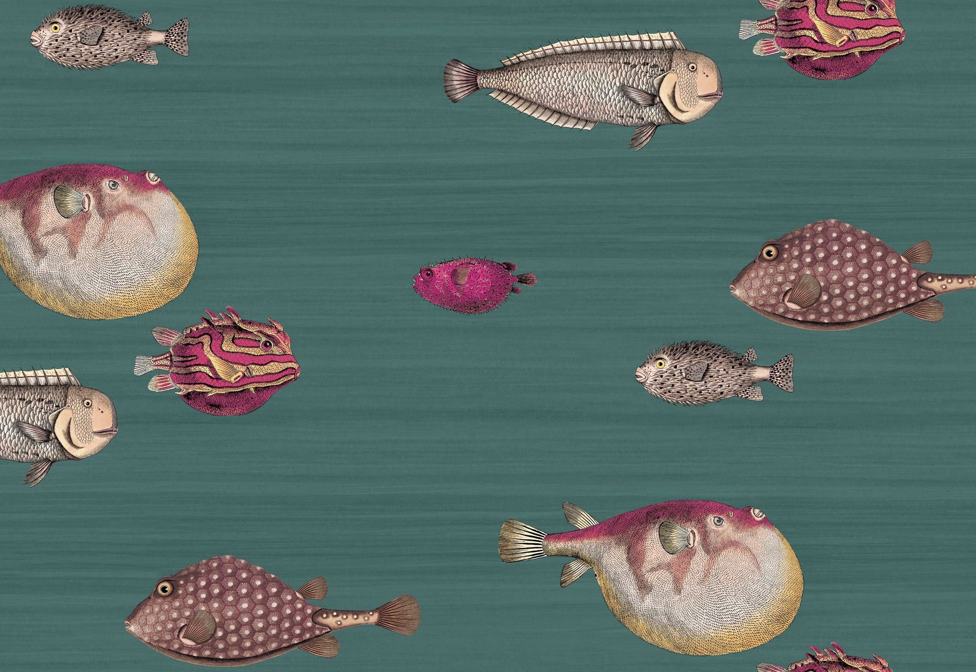 cole and son green acquario wallpaper for sale, cole and son fish viridian wallaper