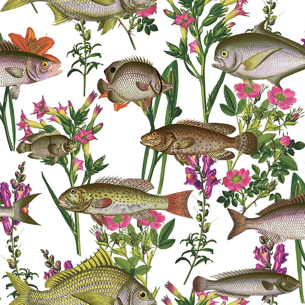 lagoon fish wallpaper for walls, coastal wallpaper for sale