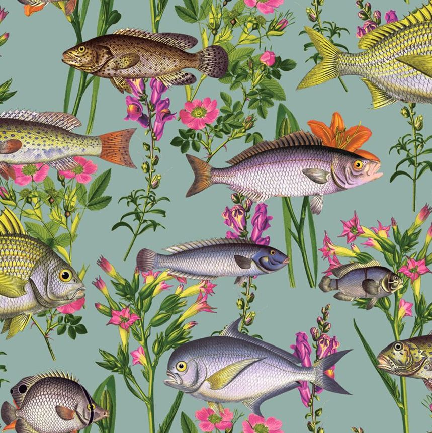 coastal fish wallpaper for walls, seaside fish wallpaper for sale