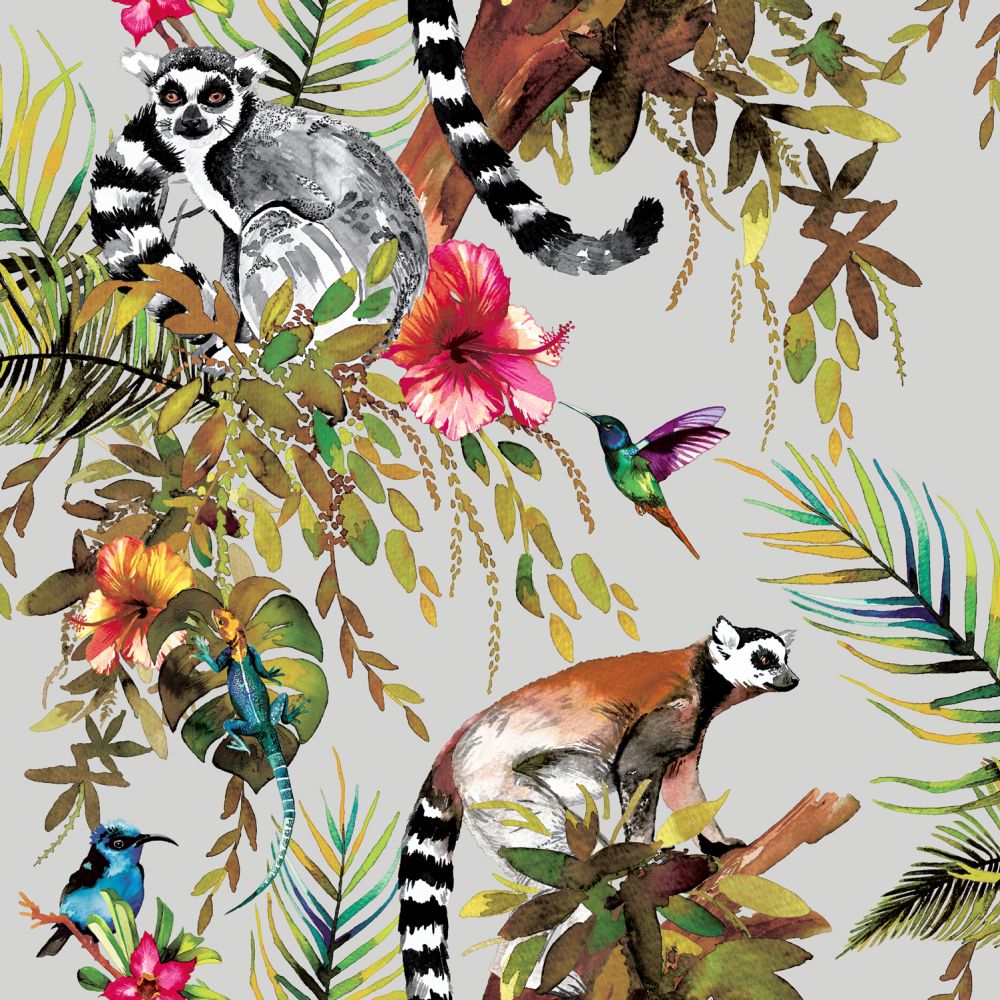 tropical animal wallpaper for walls,colorful lemur wallpaper for walls