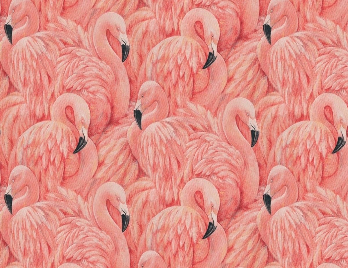 Large Flamingo Wallpaper - The Alley Exchange