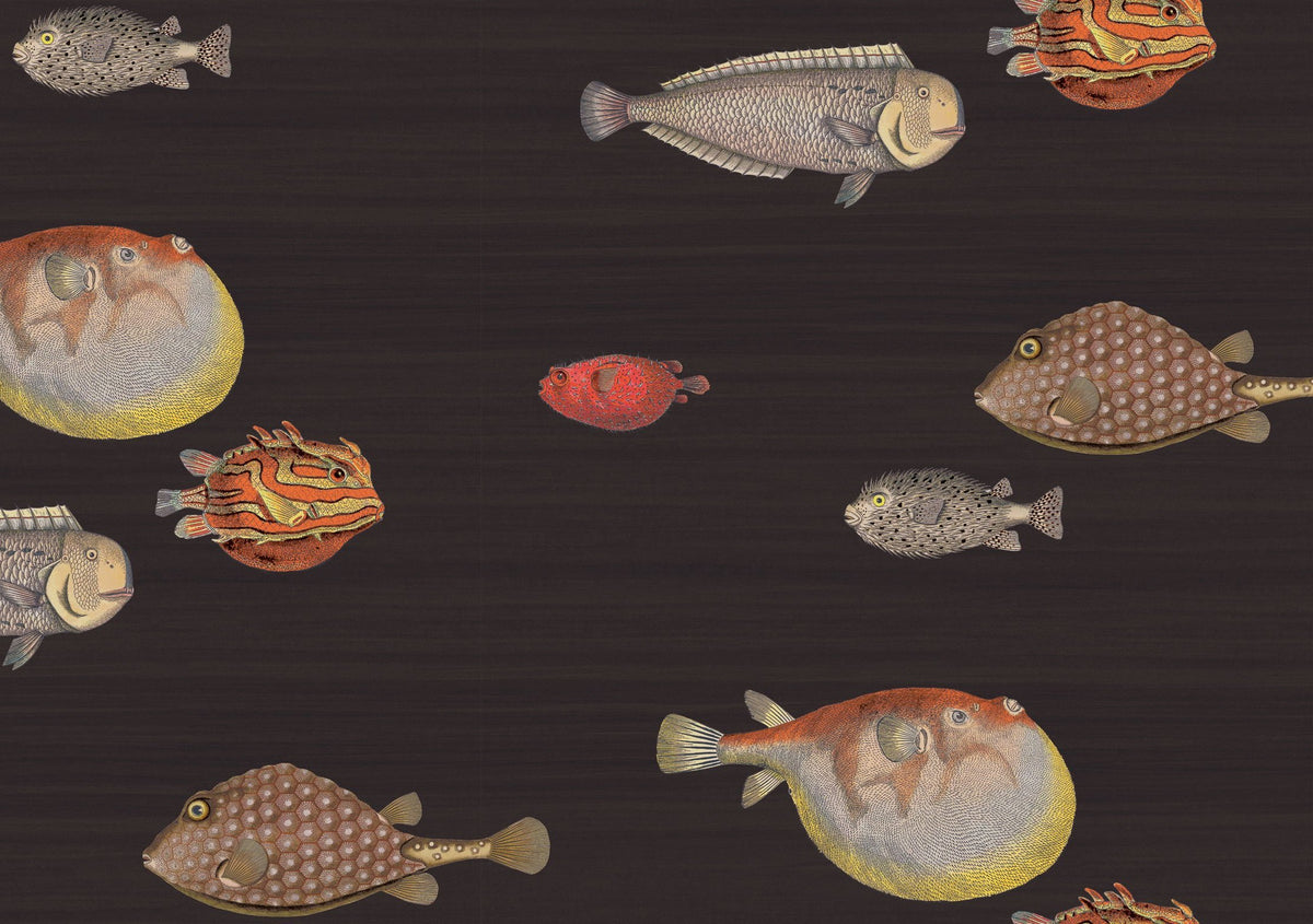 cole and son black acquario wallpaper for sale, cole and son fish wallpaper in black for sale