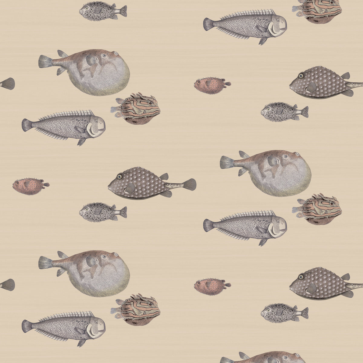 cole and son acquario wallpaper taupe, cole and son fish wallpaper taupe