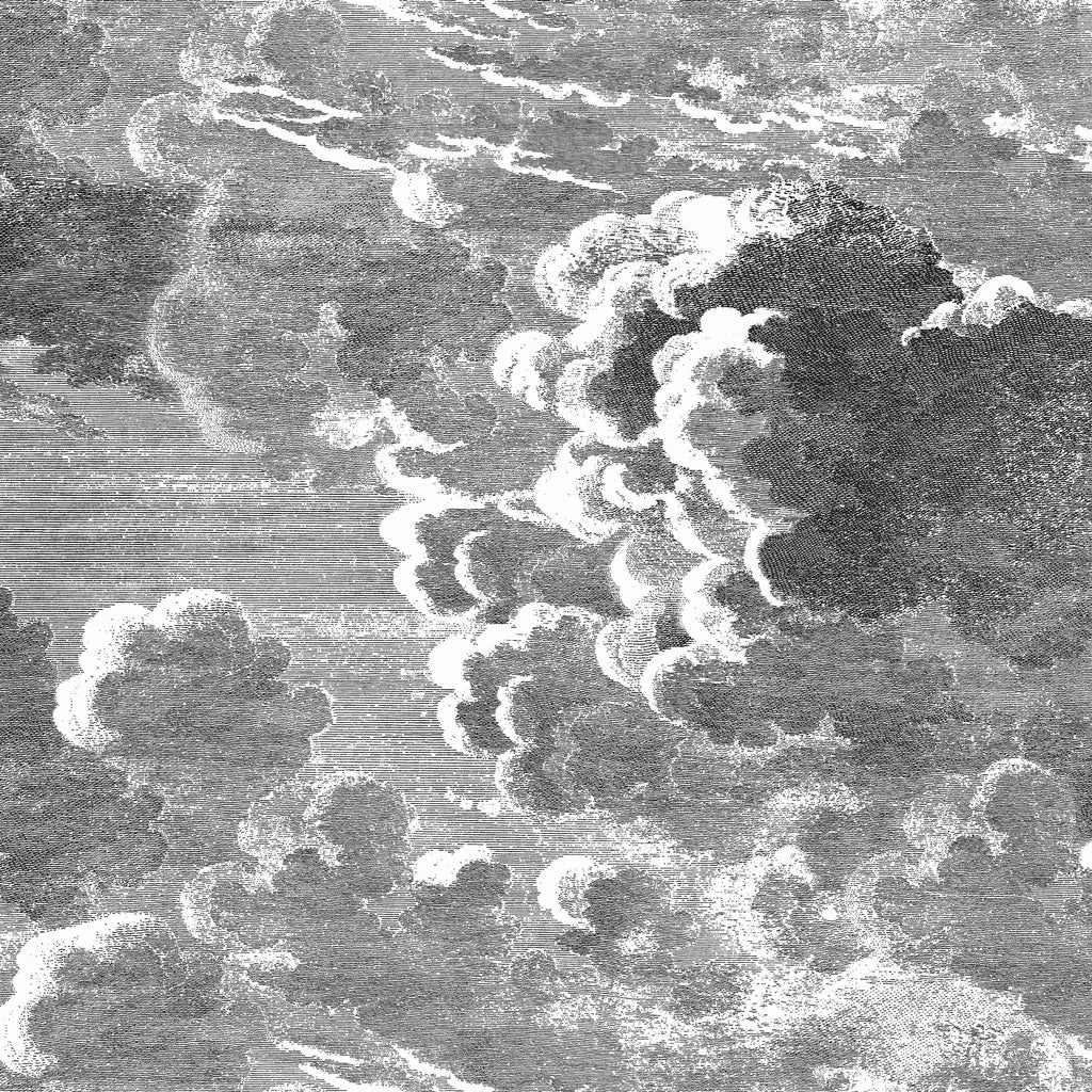 Nuvolette Black/White - Cole &amp; Son