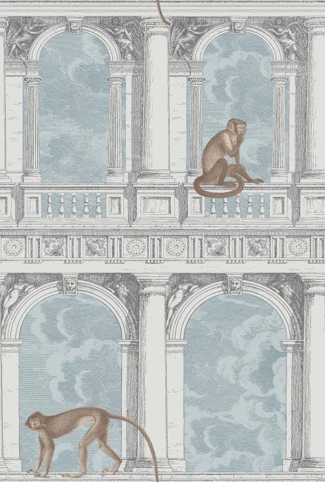 Procuratie Con Powder Blue Cole and Son