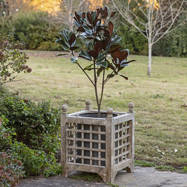 Aged Iron Orangery Planters